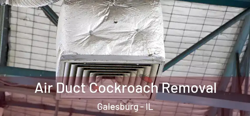 Air Duct Cockroach Removal Galesburg - IL