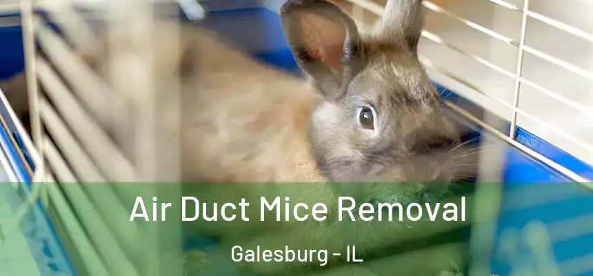 Air Duct Mice Removal Galesburg - IL
