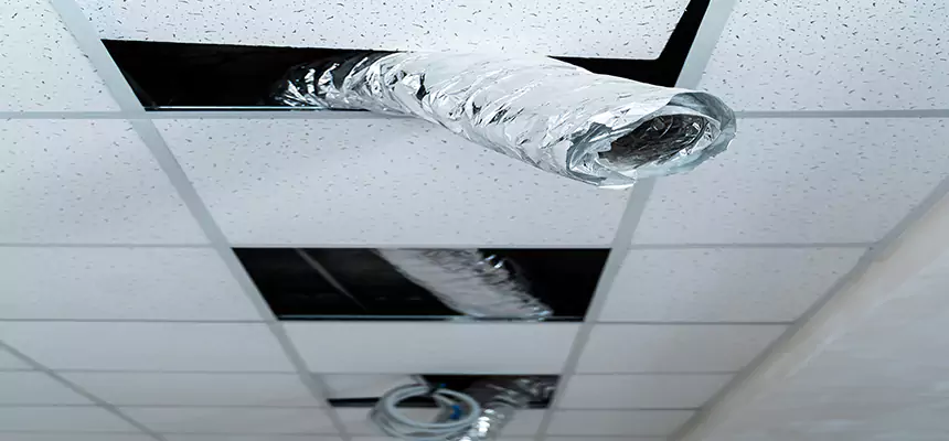 Our Air Duct Pet Hair Removal Services in Galesburg, IL