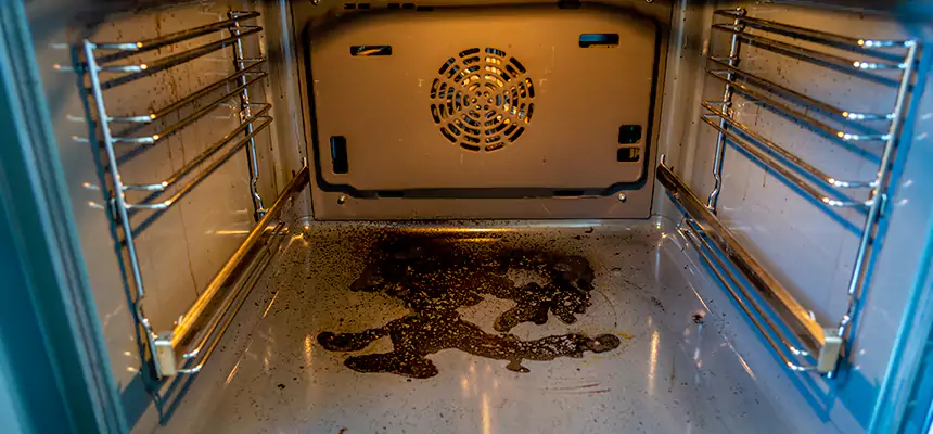 Our Dryer Vent Mold Cleaning Services in Galesburg, IL