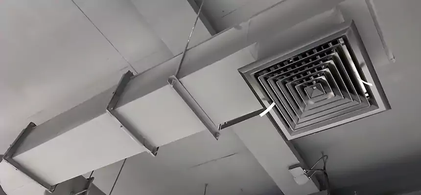 Our Pest Removal From Ducts Services in Galesburg, IL