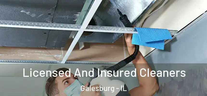 Licensed And Insured Cleaners Galesburg - IL