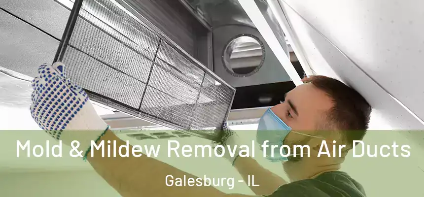  Mold & Mildew Removal from Air Ducts Galesburg - IL