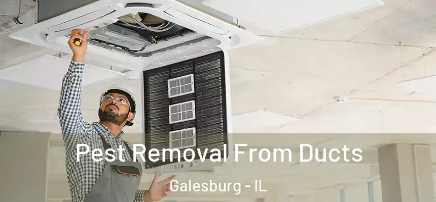  Pest Removal From Ducts Galesburg - IL