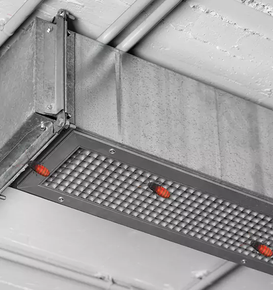 About Air Duct Cockroach Removal in Galesburg, IL