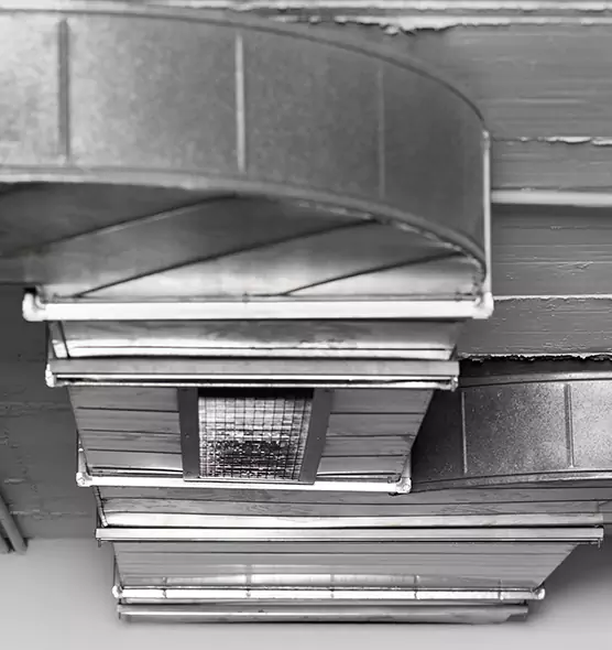 Professional Air Duct Pest Removal in Galesburg, IL